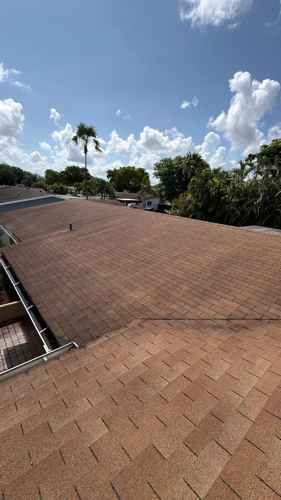 Asphalt shingle roof in Miramar with black algae streaks before roof cleaning