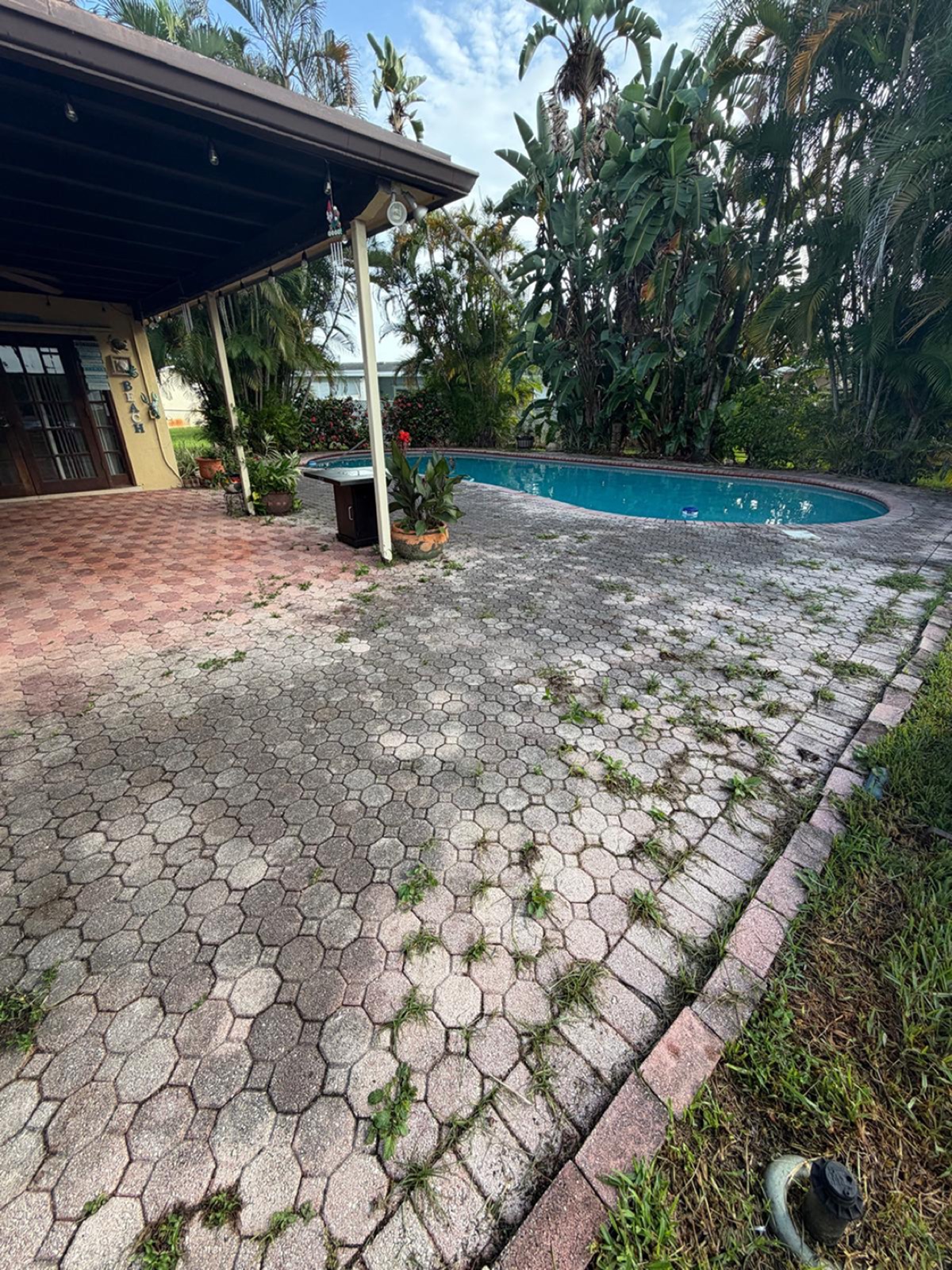 Pool deck pavers in Cooper City covered in green and black mold before cleaning